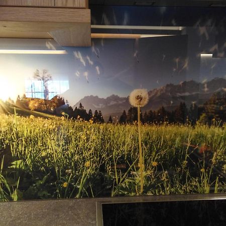 Ferienwohnungen Recherhof 霍赫菲尔岑 外观 照片